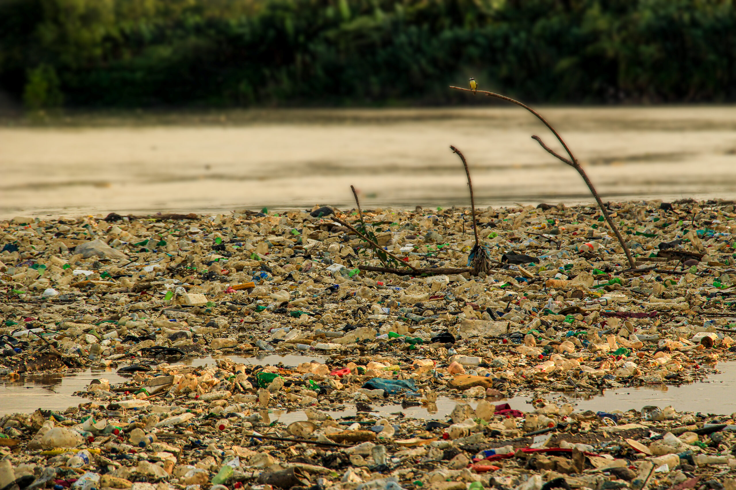 Plastic pollution in the Motagua River, Guatemala